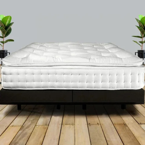 Sam Pillow Top 2000 Pocket Sprung Mattress